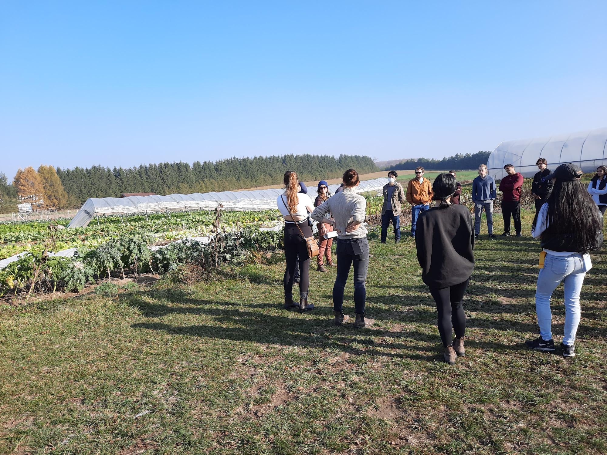 People standing at Fertile Ground Farm with crops in the background
