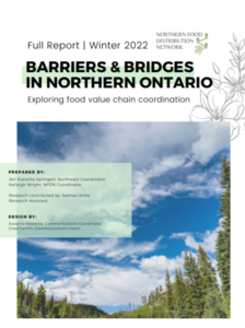 Barriers and Bridges in Northern Ontario full report cover page
