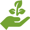 Icon hand holding plant