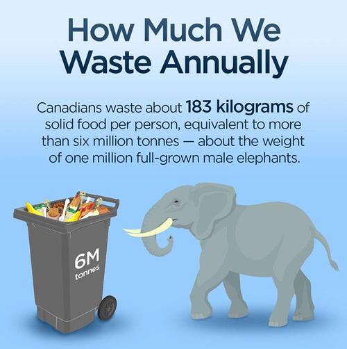 Canadians waste 83 kilograms of food annually 