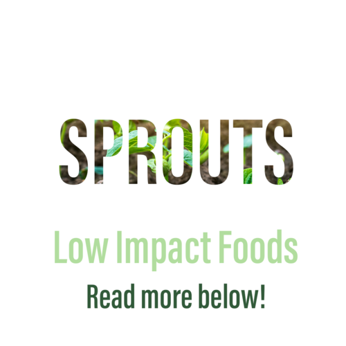 sprouts