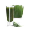 wheatgrass image 