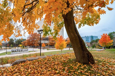 campus duringthe fall