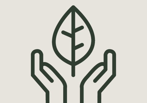 Illustrations of hands reaching upwards adn a leave growing out between