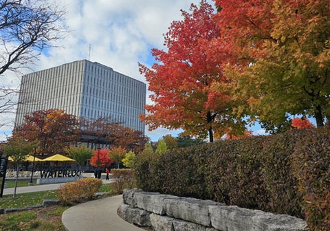 The Dana Porter Library and Waterloo Sign seen behind brightly coloured fall trees