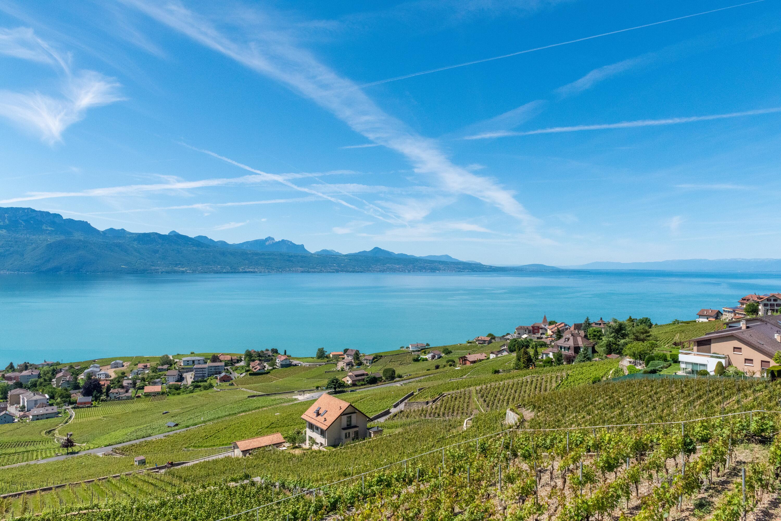 Lake Geneva and Lausanne Wine Fields