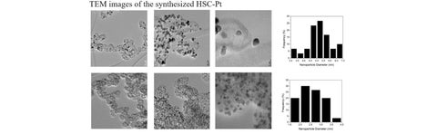 TEM images of the synthesized HSC-Pt