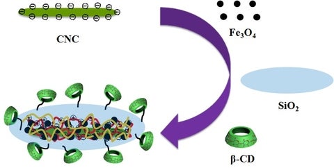 CNC nanocomposites for water treatment