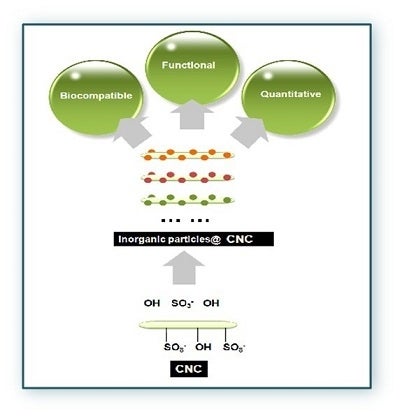 Hybrid organic-inorganic nanocomposites of CNC