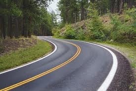 Picture of road in forest