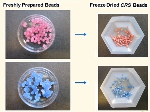 Freshly prepared beads to freeze dried CRS beads