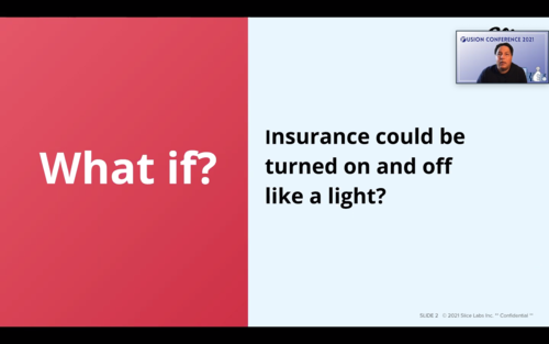 Virtual conference screenshot of slideshow