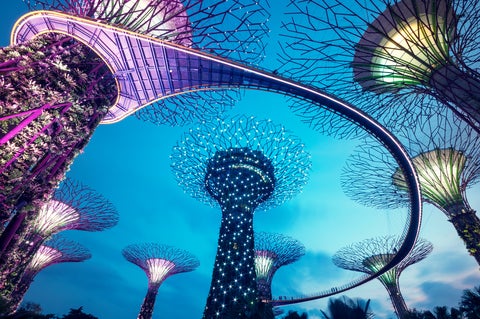 Supertree Grove in the Graden by the Bay in Singapore