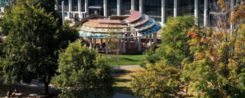 Indigenous outdoor gathering space