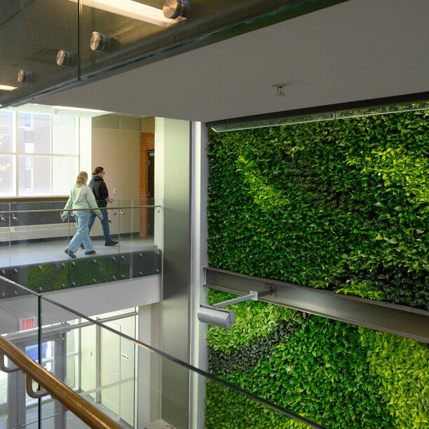 Interior of Environment 3 building on the main Waterloo campus showing the living green wall
