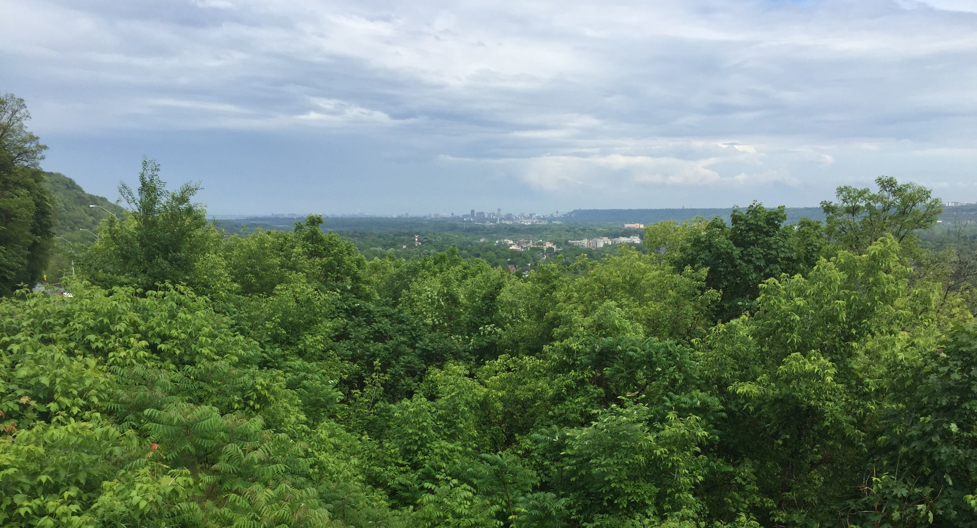 A wide angle image of treeline and city skyline in the Hamilton-Niagara escarpment 