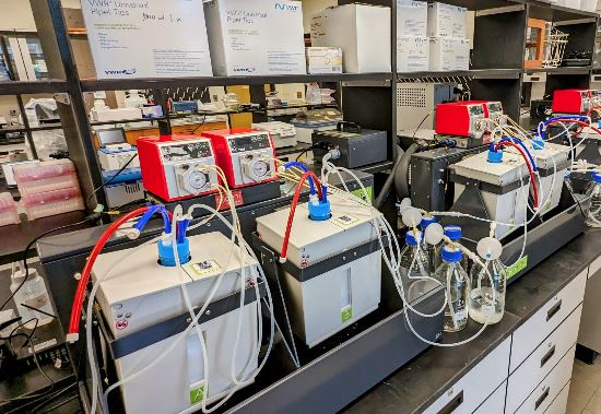 Environmental Virology & Ecology Research Group lab