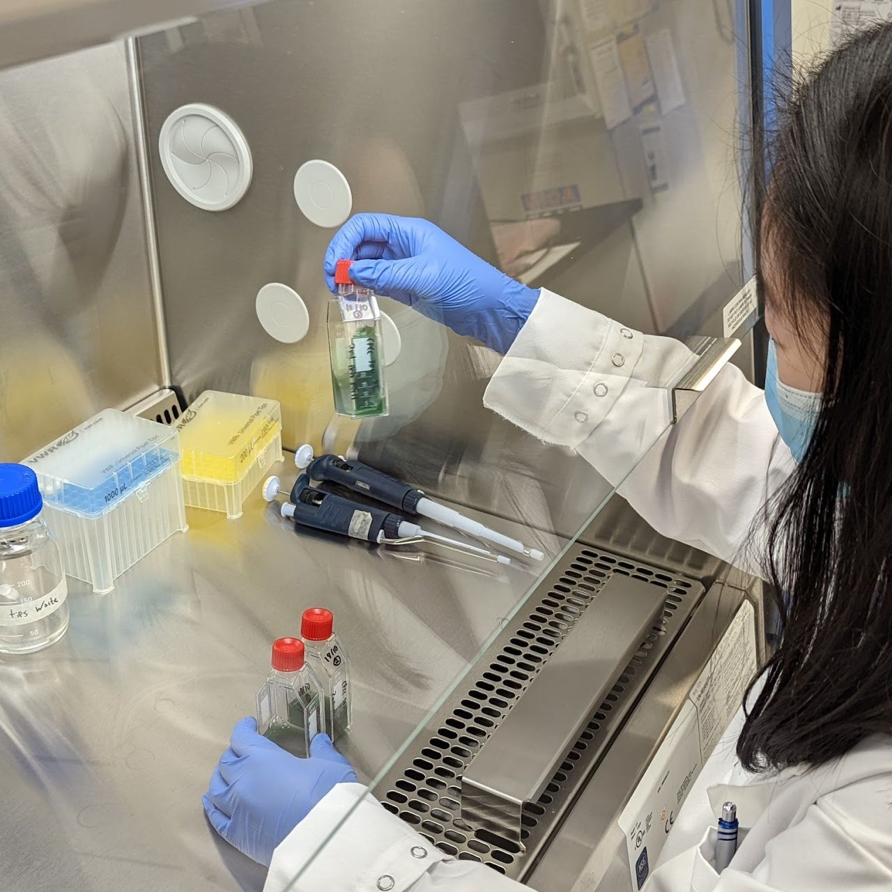 Environmental Virology & Ecology Research Group