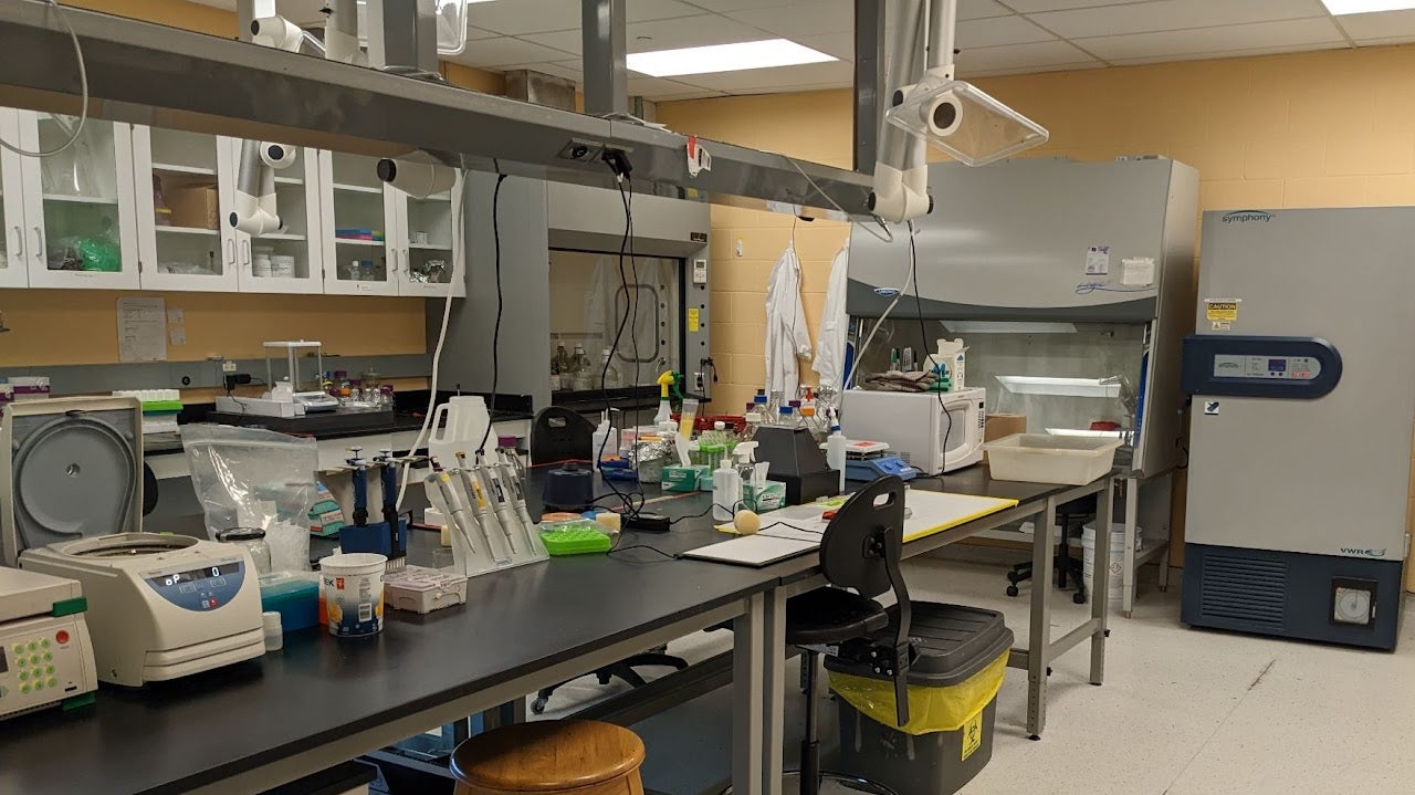 Molecular Core Facility