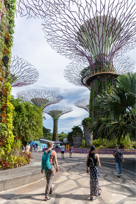 Students walk through Gardens by the Bay in Singapore