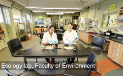 Ecology lab, Faculty of Environment