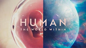 human the world within thumbnail