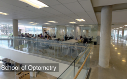 School of Optometry