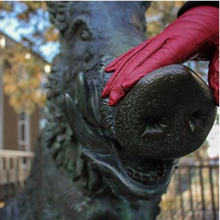 hand with red glove rubbing statue Porcellino
