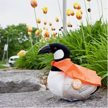 stuffed goose with orange cape around its neck, sitting outdoors with flowers behind it