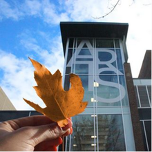 Arts building with orange leaf held in front of it