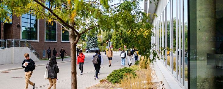 Large group of students walking across Waterloo's campus
