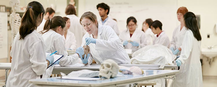several students around table in anatomy lab