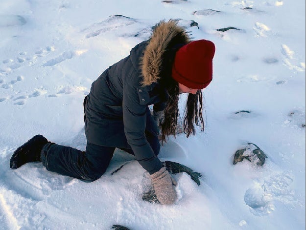 Future geologist dusting snow off rock in the Arctic