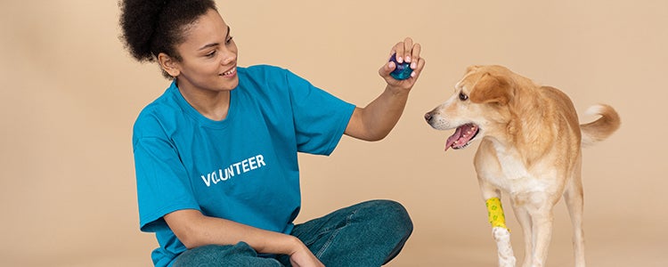 Student volunteer with a dog.