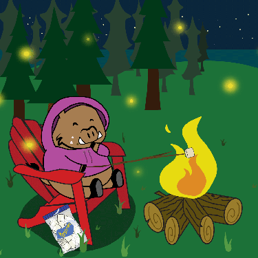 Illustration of Porcellino camping and roasting marshmallows