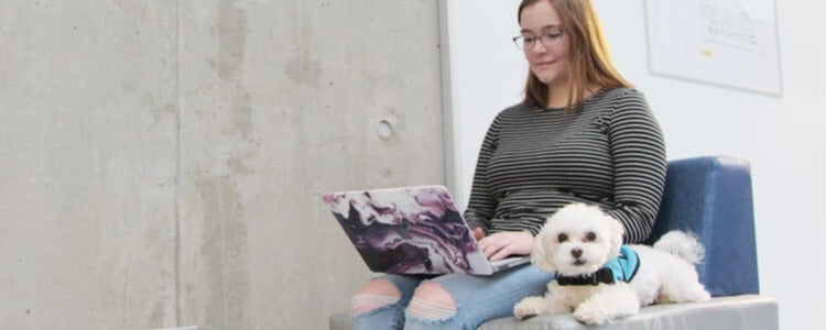 A student and her support dog studying on Waterloo campus.