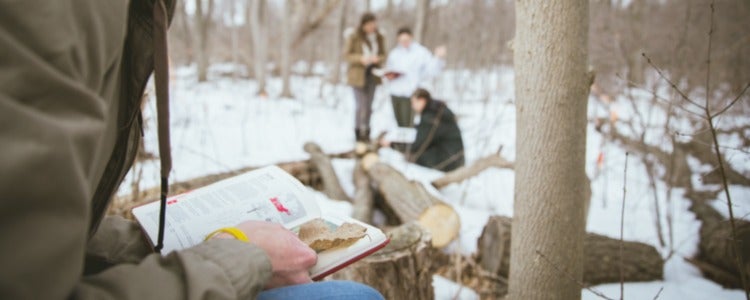 A student examines a sample leaf collected during a winter field ecology lab.