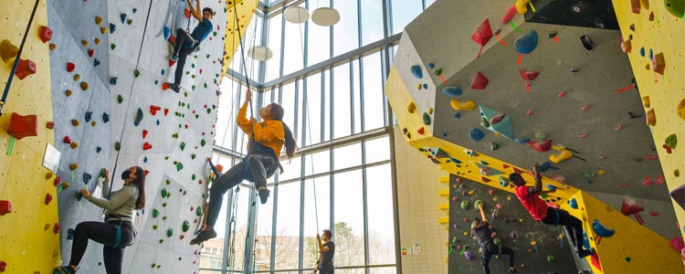 Students rock climbing in the new PAC expansion