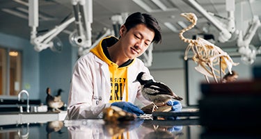Waterloo Science student in a lab