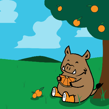 Illustration of Porcellino eating an orange under a tree