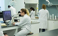 Students in working together within a lab