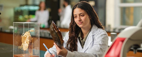 Student examining a preserved organism in a lab.