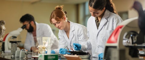 Students wearing lab coats work in a lab