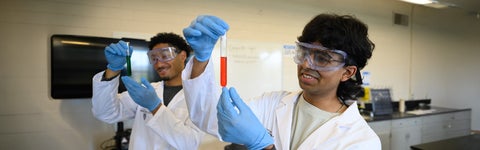 Students working with test tubes during a biomedical engineering lab