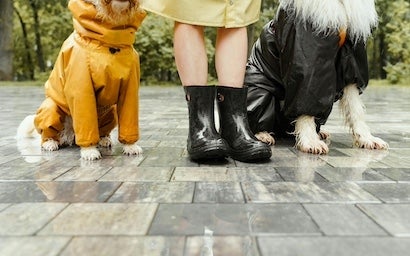A close up on a person's rain boots with a dog on each side of them.