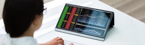 person looking at stock market on laptop