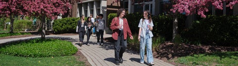 students walking on path on campus with spring blossom on surrounding trees