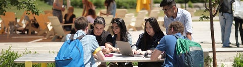 Students in the arts quad