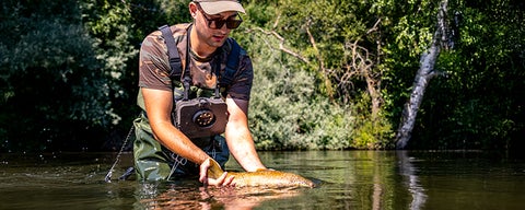 Person in waders in a pond holding a fish upstream.