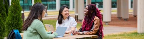 Students sitting on a bench with their laptops open
